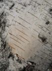 Click for large version